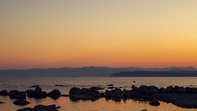 uploaded-image-sideda-su-sporlari-ve-dalis-1697806406836